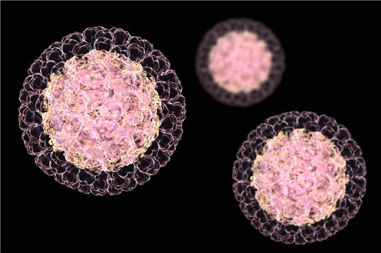 Rotavirus: Symptome, Übertragung und Behandlung