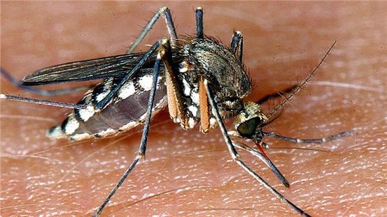 Intravenöse Flüssigkeitsregulierung: Zweck, Verfahren und mehr