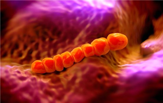 Pneumokokken Meningitis : Oorzaken, symptomen en diagnose