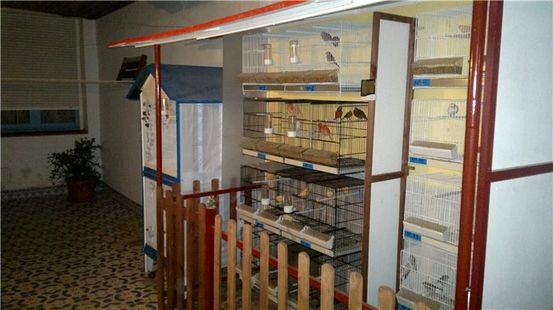 ¿Cómo puedo administrar mis medicamentos junto con mi quimioterapia?