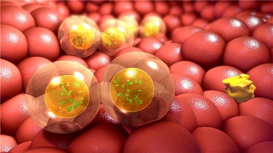 Nutrición y trastornos del metabolismo
