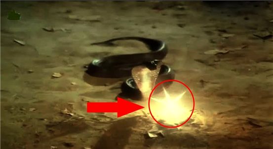 सो: 10 चीजें जो आपके शरीर में होती हैं जब आपको पर्याप्त नहीं मिलता है