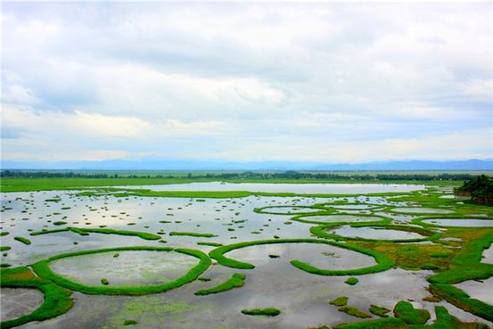 अनन्य रूप से कैंसर के नशीले पदार्थों को खोजना
