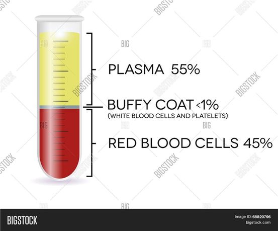 Hematocriet Test: Gebruik, procedure en resultaten