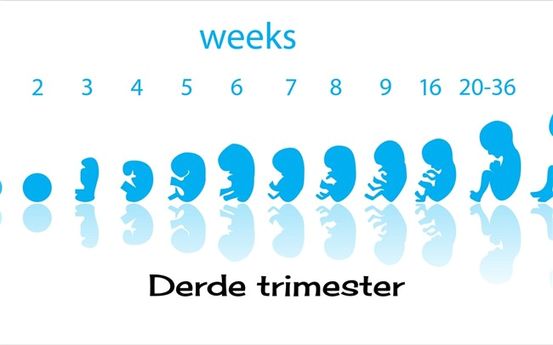 Huidveranderingen tijdens het derde trimester