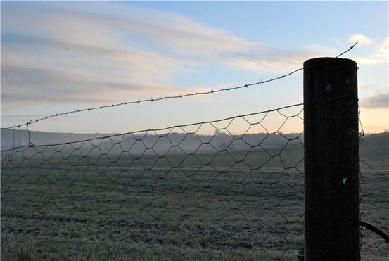 Sommer Kald: Symptomer og Rettsmidler