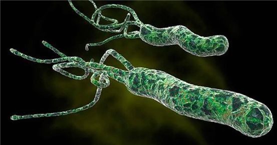 Ч. инфекции pylori: причины, симптомы и лечение