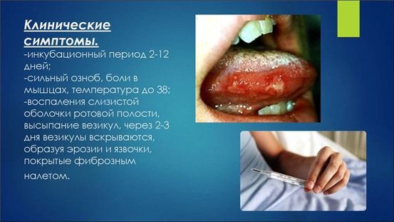 Вирус гепатита Панель: Цель, процедура и риски