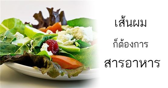 เส้นผม (ความเครียด) การแตกหัก