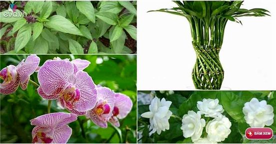 Lời khuyên cho bỏ hút thuốc