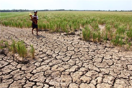 Tim Thất bại: Các triệu chứng, nguyên nhân và loại