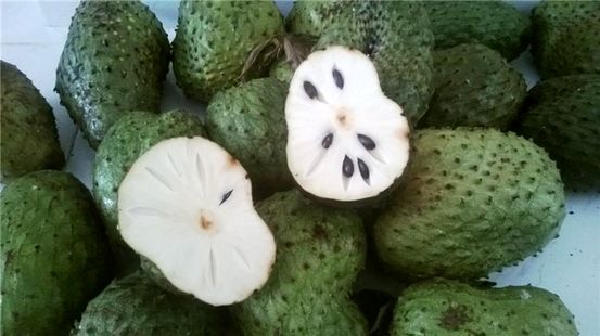 Nôn mửa: Nguyên nhân, Triệu chứng, và Chẩn đoán
