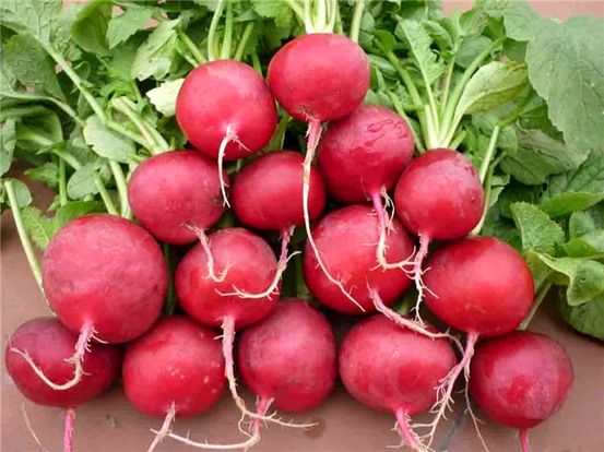 Tại sao Bơ Táo tốt cho Bạn