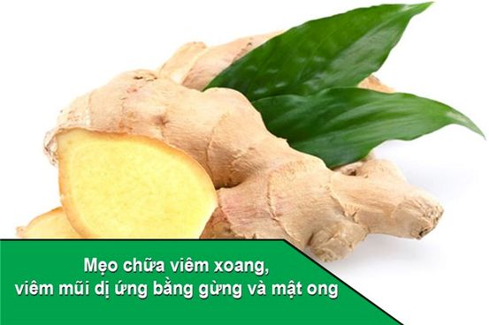 Mọi thứ bạn cần biết về các loại phòng ngừa bệnh vắc xin